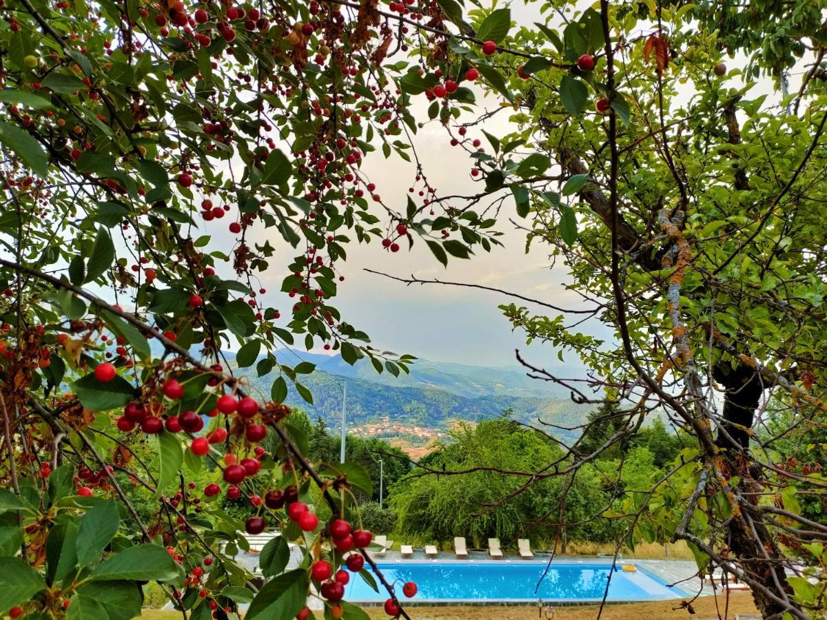 Agriturismo Borgo Biaia Camporgiano エクステリア 写真